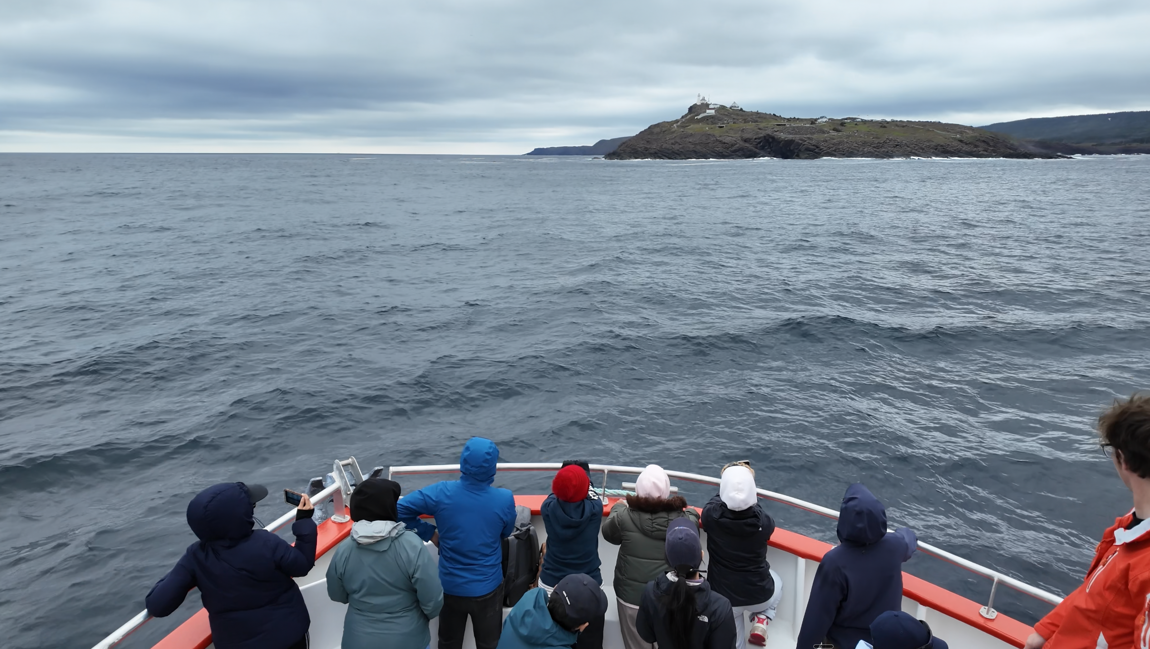 Iceberg Quest boat tour passengers watching the coastline off St. John's